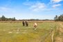 Sommerhus 86292 på Borrebjergvej 5A, Kromose, Rømø - Billede #9