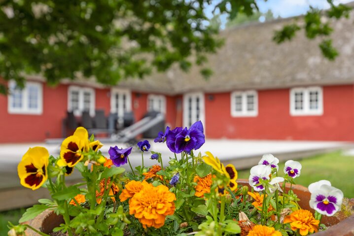 Ferienhaus 86292 in Borrebjergvej 5A, Kromose, Rømø - Bild #38