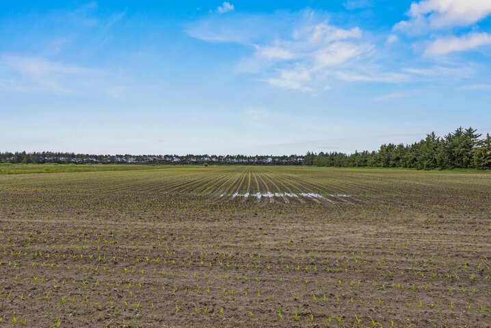 Sommerhus 87087 på Rimmevej 25, Sønderstrand, Rømø - Billede #40