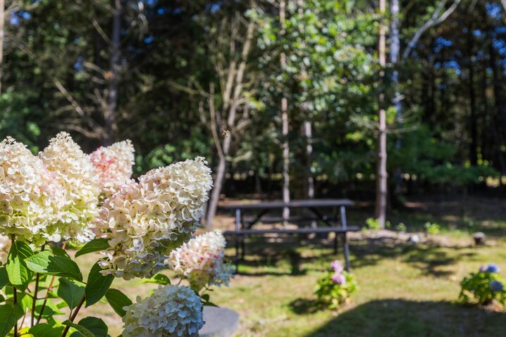 Ferienhaus 87127 in Rylen 2, Sønderstrand, Rømø - Bild #43
