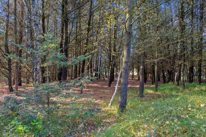 Sommerhus 87140 på Dyssebjergvej 3, Sønderstrand, Rømø - Billede #29