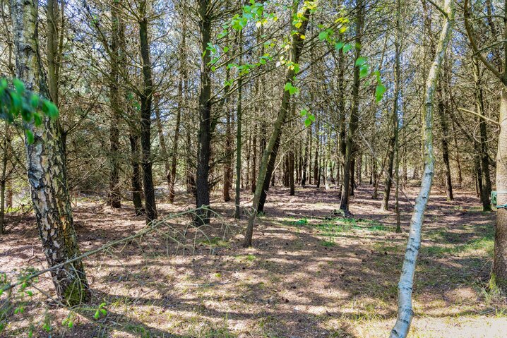 Ferienhaus 87140 in Dyssebjergvej 3, Sønderstrand, Rømø - Bild #30