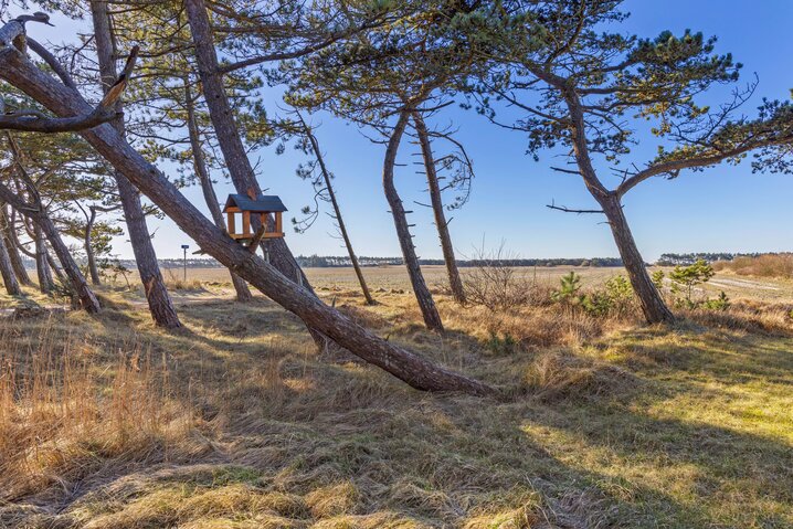 Sommerhus 87144 på Rimmevej 1, Langdal, Rømø - Billede #23