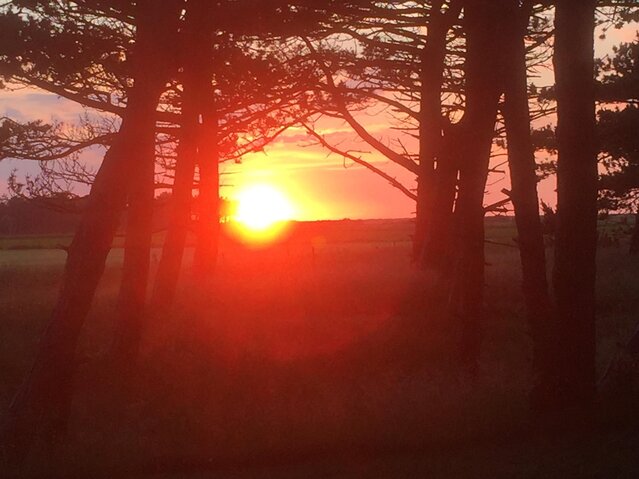 Sommerhus 87144 på Rimmevej 1, Langdal, Rømø - Billede #20