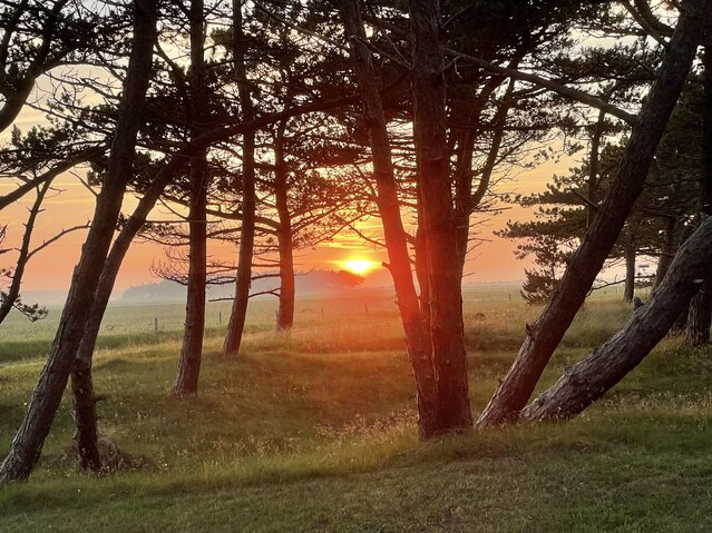 Sommerhus 87144 på Rimmevej 1, Langdal, Rømø - Billede #21