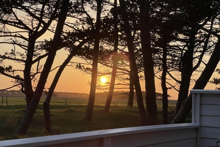 Sommerhus 87144 på Rimmevej 1, Langdal, Rømø - Billede #22