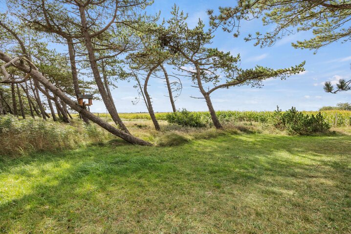 Sommerhus 87144 på Rimmevej 1, Langdal, Rømø - Billede #29