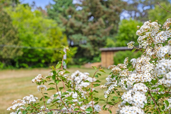 Ferienhaus 87197 in Langdalsvej 12, Sønderstrand, Rømø - Bild #28