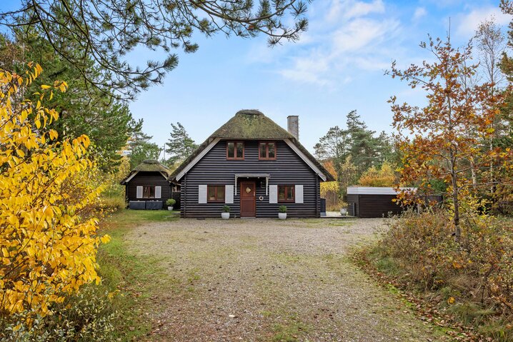 Ferienhaus 87244 in Langdalsvej 55, Vråby - Bild #36
