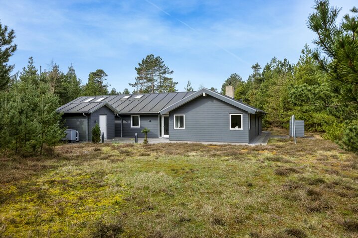 Ferienhaus 87251 in Dværgternen 14, Langdal - Bild #35