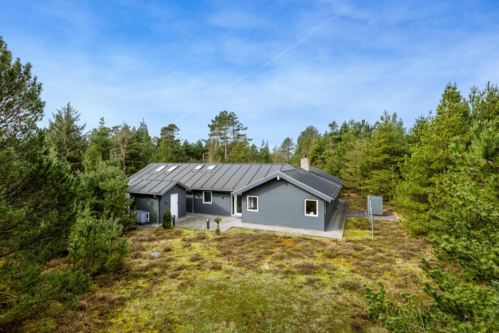Ferienhaus 87251 in Dværgternen 14, Langdal - Bild #36