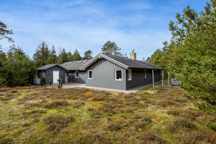 Ferienhaus 87251 in Dværgternen 14, Langdal - Bild #0