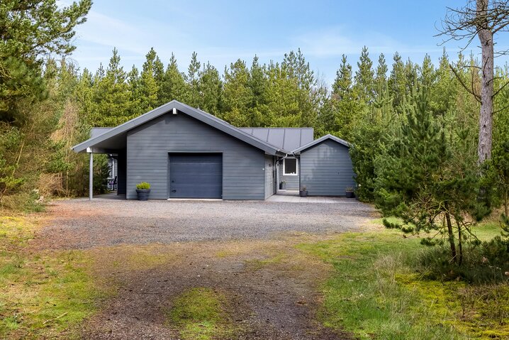 Ferienhaus 87251 in Dværgternen 14, Langdal - Bild #39