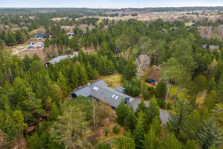 Ferienhaus 87251 in Dværgternen 14, Langdal - Bild #34