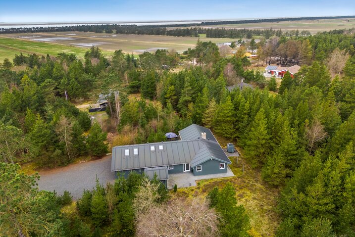 Ferienhaus 87251 in Dværgternen 14, Langdal - Bild #44