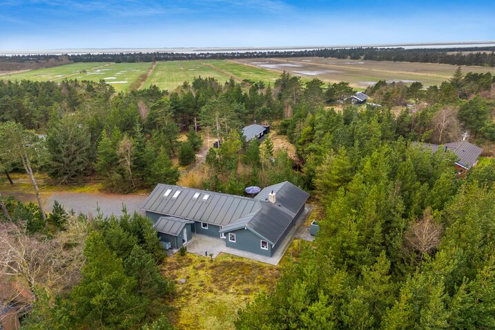 Ferienhaus 87251 in Dværgternen 14, Langdal - Bild #45