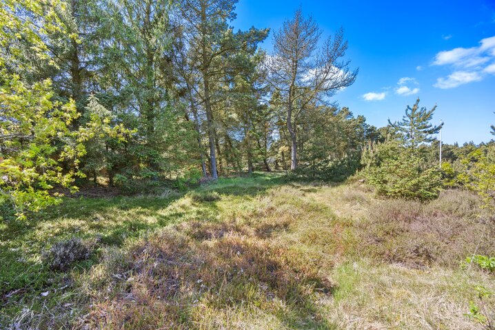 Ferienhaus 87263 in Umanaksvej 16, Kongsmark - Bild #23