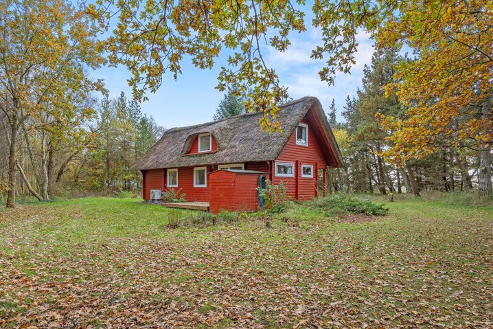 Sommerhus 87285 på Rylen 15, Langdal - Billede #22