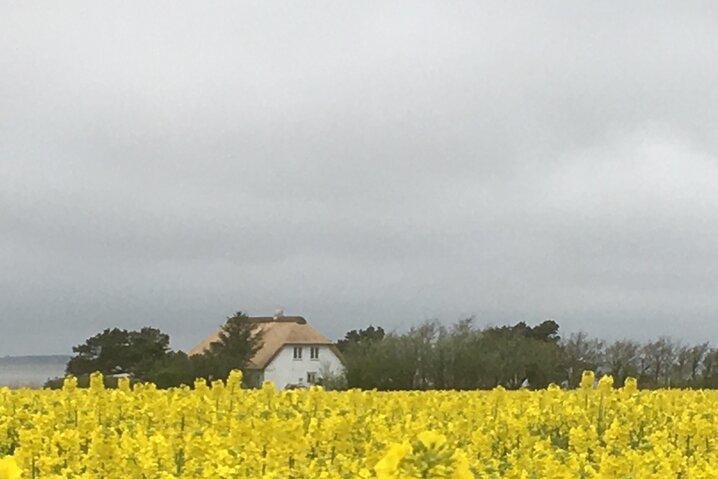 Ferienhaus 88148 in Vesterende 45, Ballum - Bild #45