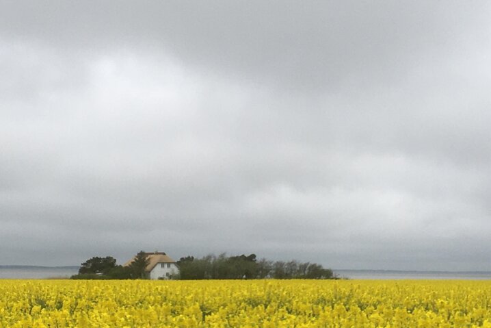 Ferienhaus 88148 in Vesterende 45, Ballum - Bild #47