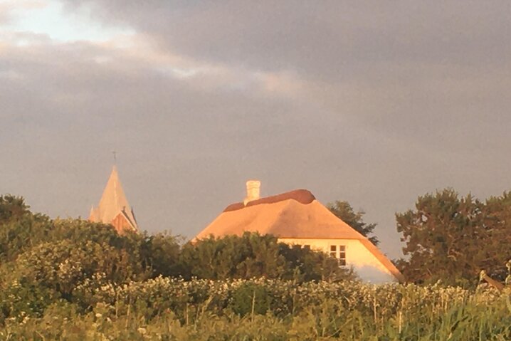 Ferienhaus 88148 in Vesterende 45, Ballum - Bild #48