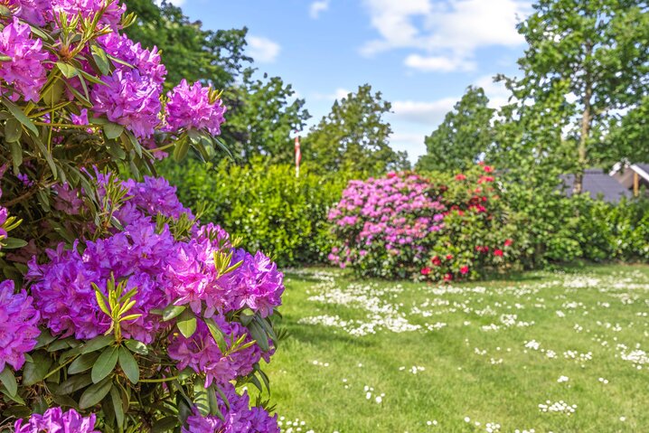 Sommerhus 88235 på Skikkild Bjerge 44, Arrild - Billede #23
