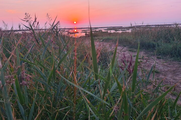Sommerhus 88237 på Gaden 37, Ballum - Billede #28