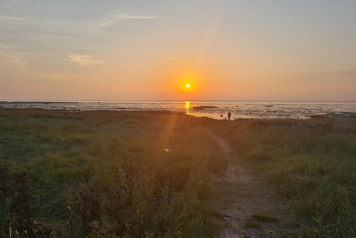 Sommerhus 88237 på Gaden 37, Ballum - Billede #27