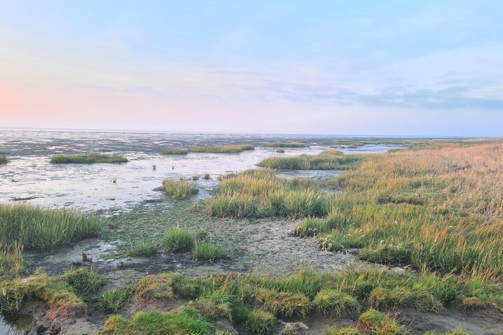 Sommerhus 88237 på Gaden 37, Ballum - Billede #24
