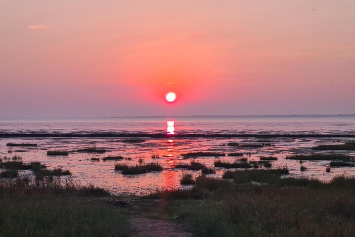 Sommerhus 88237 på Gaden 37, Ballum - Billede #25