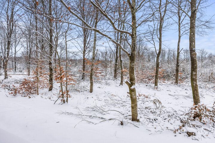 Holiday home 88254 at Midtparken 29, Arrild - Picture #35