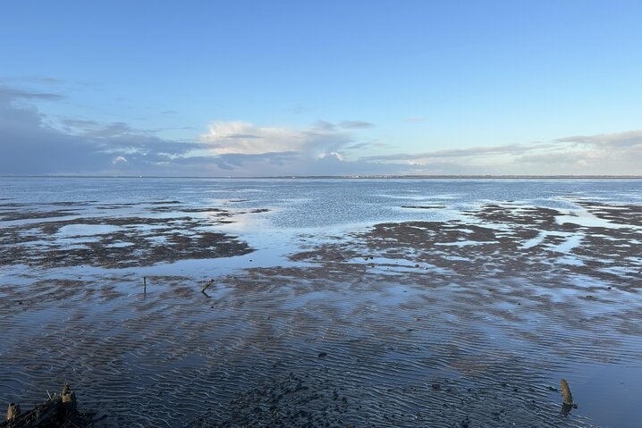 Ferienhaus 88261 in Strandvej 27 C, Ballum - Bild #32