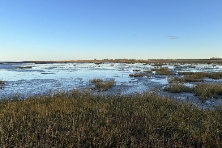 Ferienhaus 88261 in Strandvej 27 C, Ballum - Bild #33