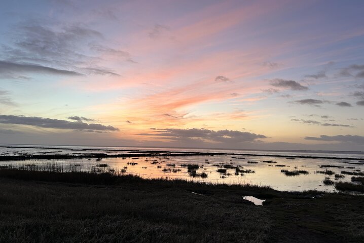Ferienhaus 88261 in Strandvej 27 C, Ballum - Bild #34