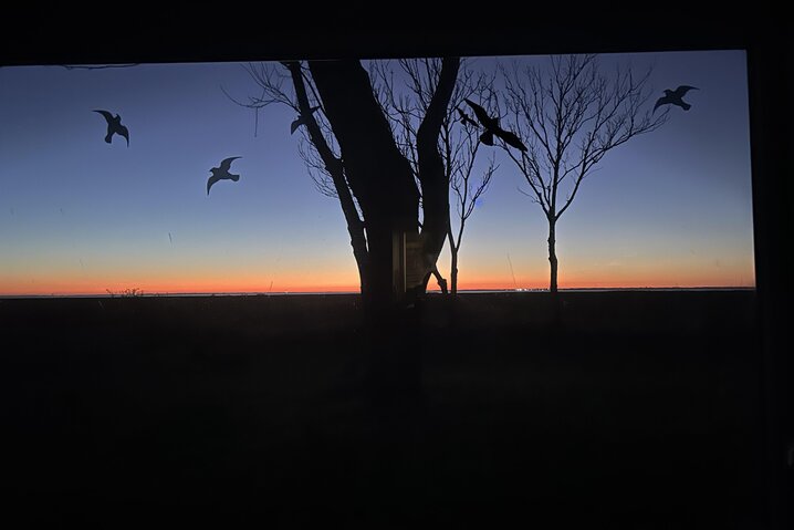 Ferienhaus 88261 in Strandvej 27 C, Ballum - Bild #35