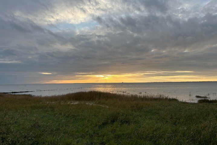 Ferienhaus 88261 in Strandvej 27 C, Ballum - Bild #36