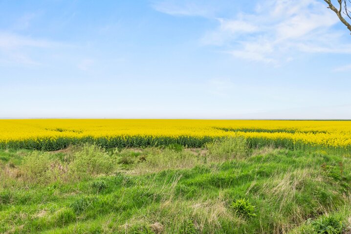 Ferienhaus 88261 in Strandvej 27 C, Ballum - Bild #28