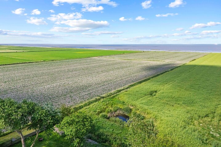 Ferienhaus 88261 in Strandvej 27 C, Ballum - Bild #29