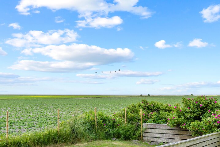 Ferienhaus 88261 in Strandvej 27 C, Ballum - Bild #24