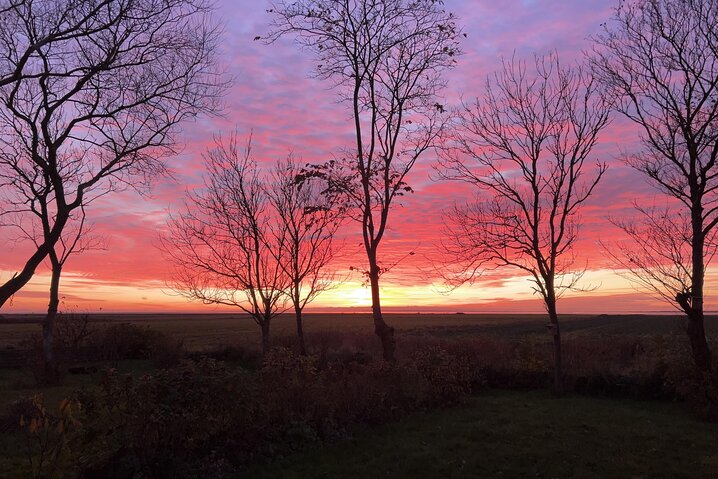 Sommerhus 88262 på Strandvej 27 B, Ballum - Billede #28