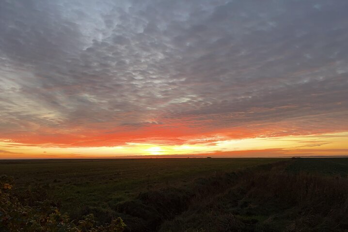 Sommerhus 88262 på Strandvej 27 B, Ballum - Billede #29