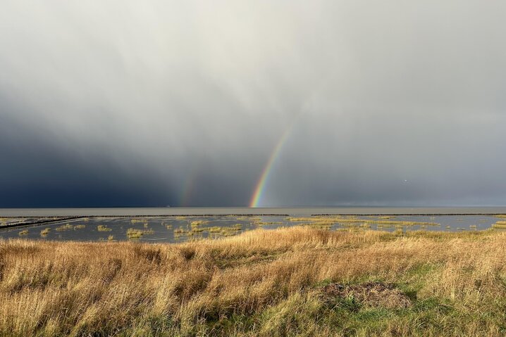 Sommerhus 88262 på Strandvej 27 B, Ballum - Billede #30