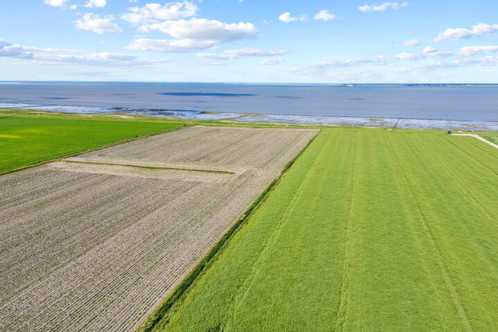Sommerhus 88262 på Strandvej 27 B, Ballum - Billede #23