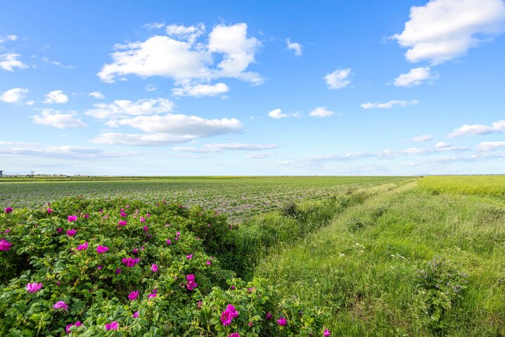 Sommerhus 88262 på Strandvej 27 B, Ballum - Billede #24