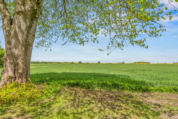Sommerhus 88315 på Emmerlevvej 8, - Billede #31