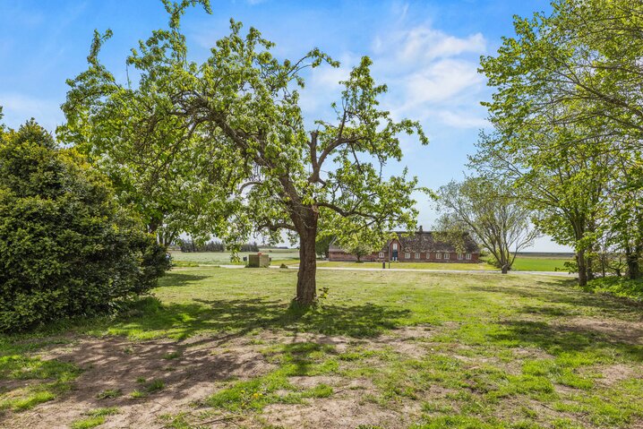 Sommerhus 88315 på Emmerlevvej 8, - Billede #38