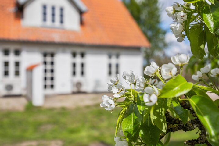 Sommerhus 88315 på Emmerlevvej 8, - Billede #39