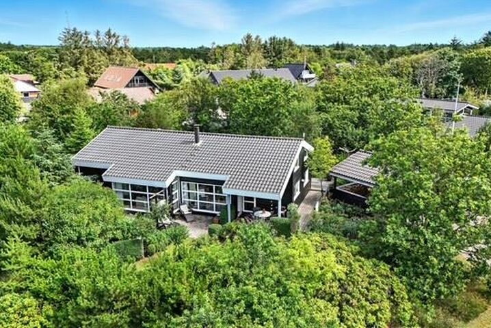 Ferienhaus A1061 in Egetoften 1, Nymindegab - Bild #0