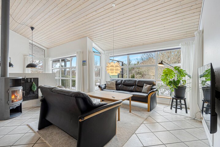 Ferienhaus A1061 in Egetoften 1, Nymindegab - Bild #1