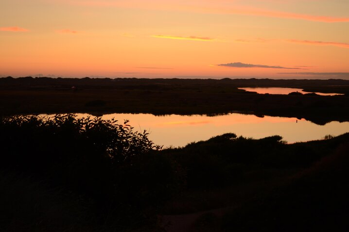 Ferienhaus A1064 in Redningsvejen 14, Nymindegab - Bild #32